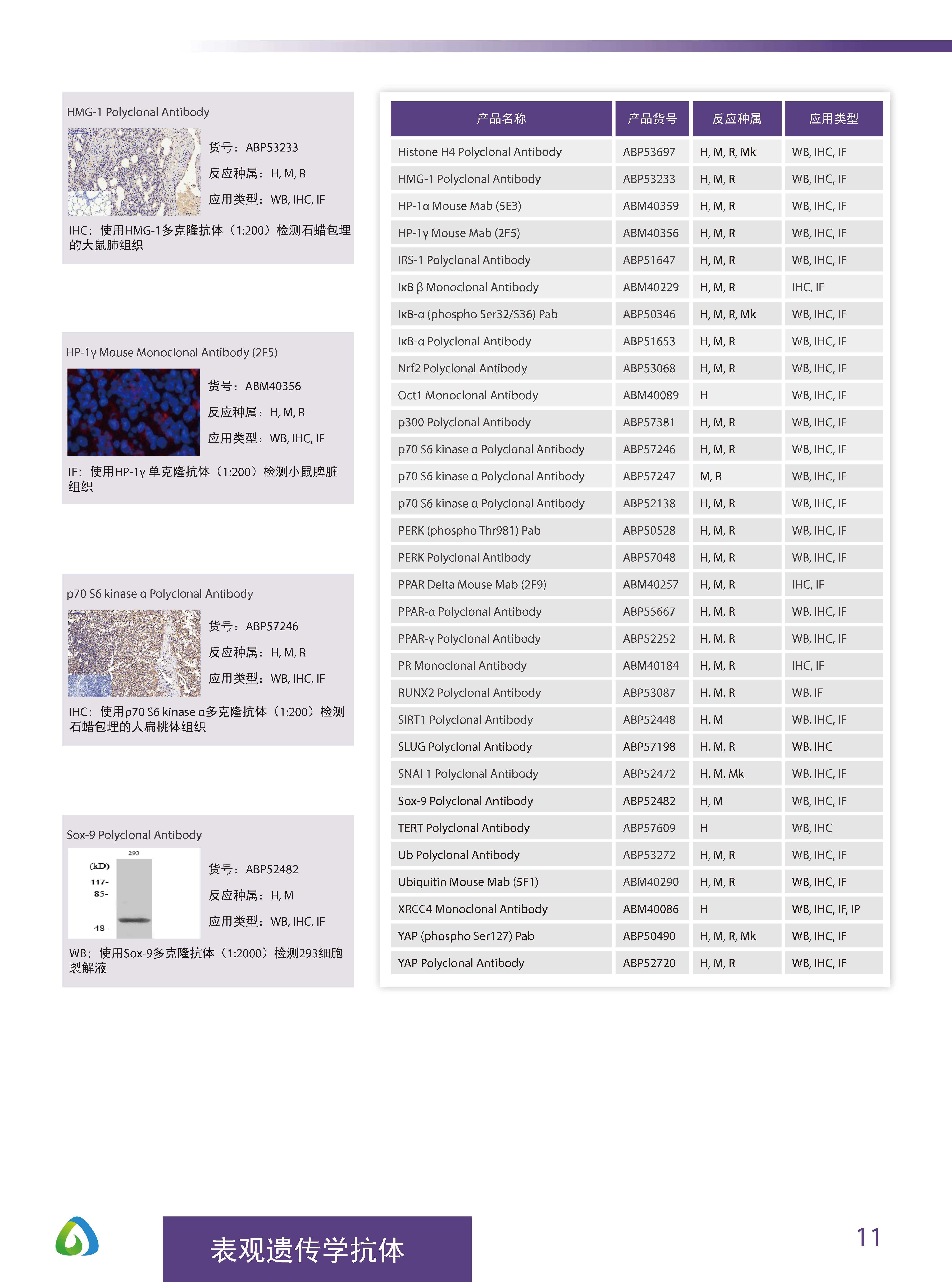 Abbkine“皇冠”抗體產品應用手冊
