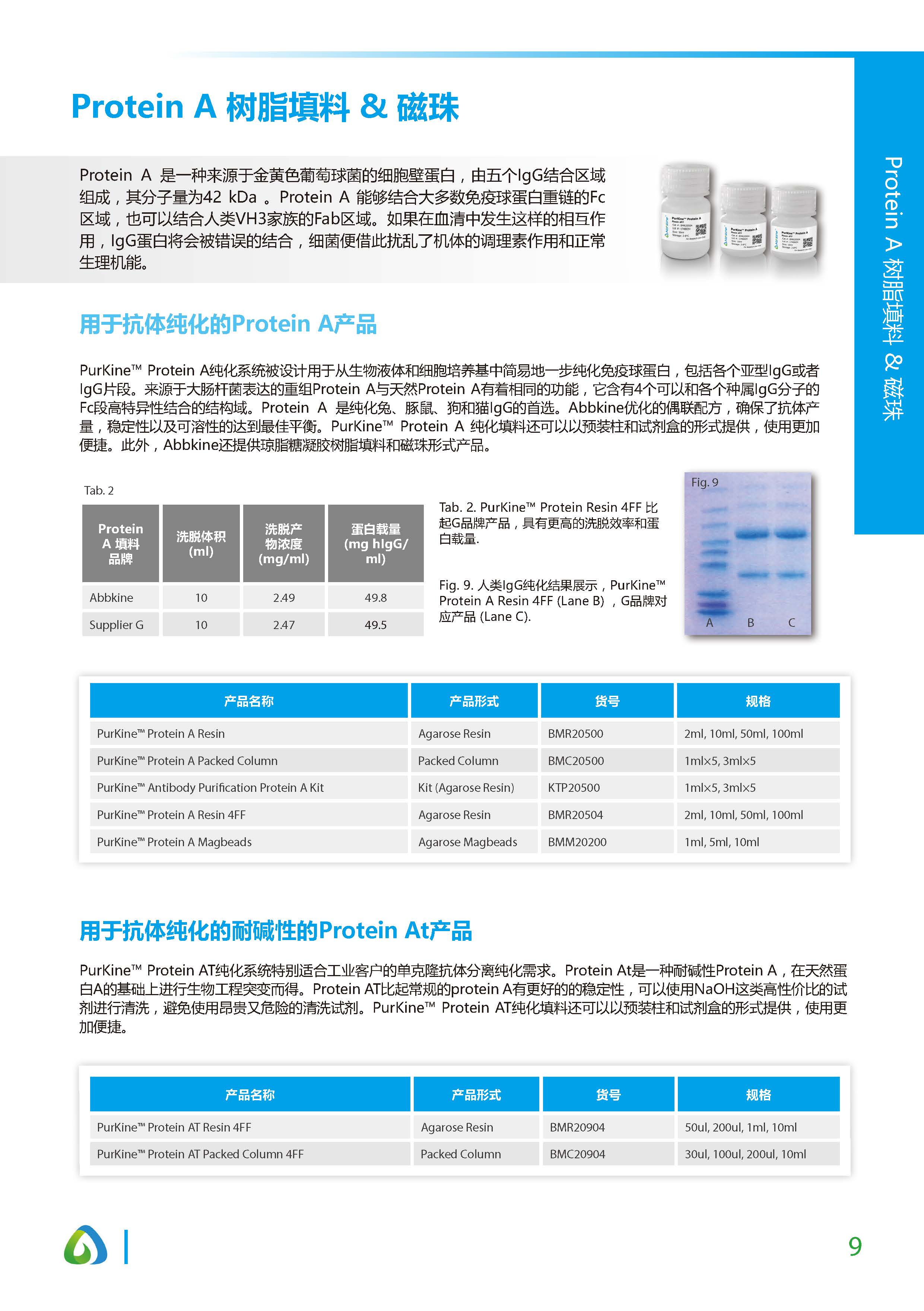 蛋白質&抗體純化和檢測工具