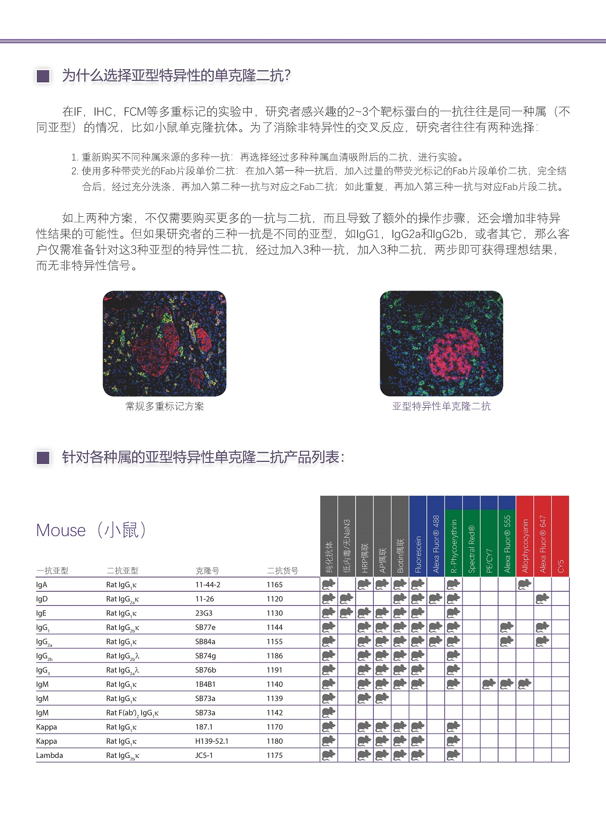 SouthernBiotech獸-禽類-細胞表面蛋白抗體單頁