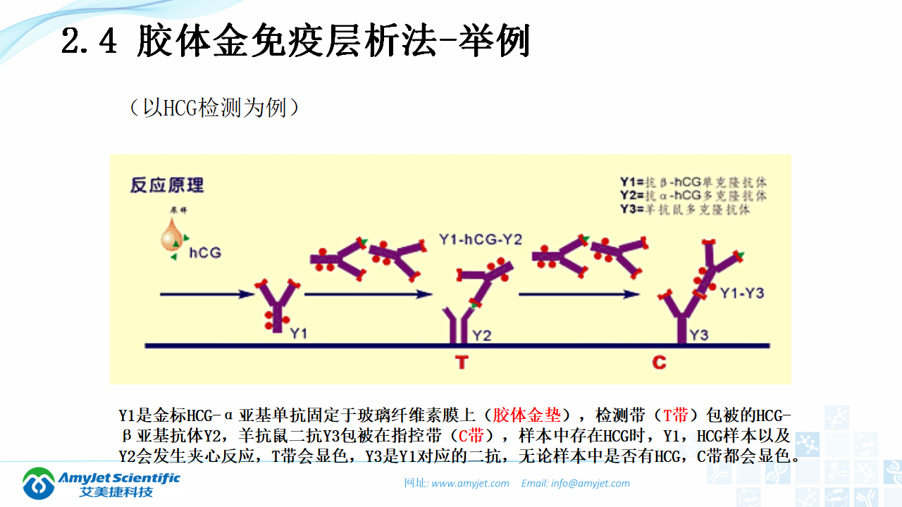 202003-體外診斷（IVD）試劑及市場淺析_26.png