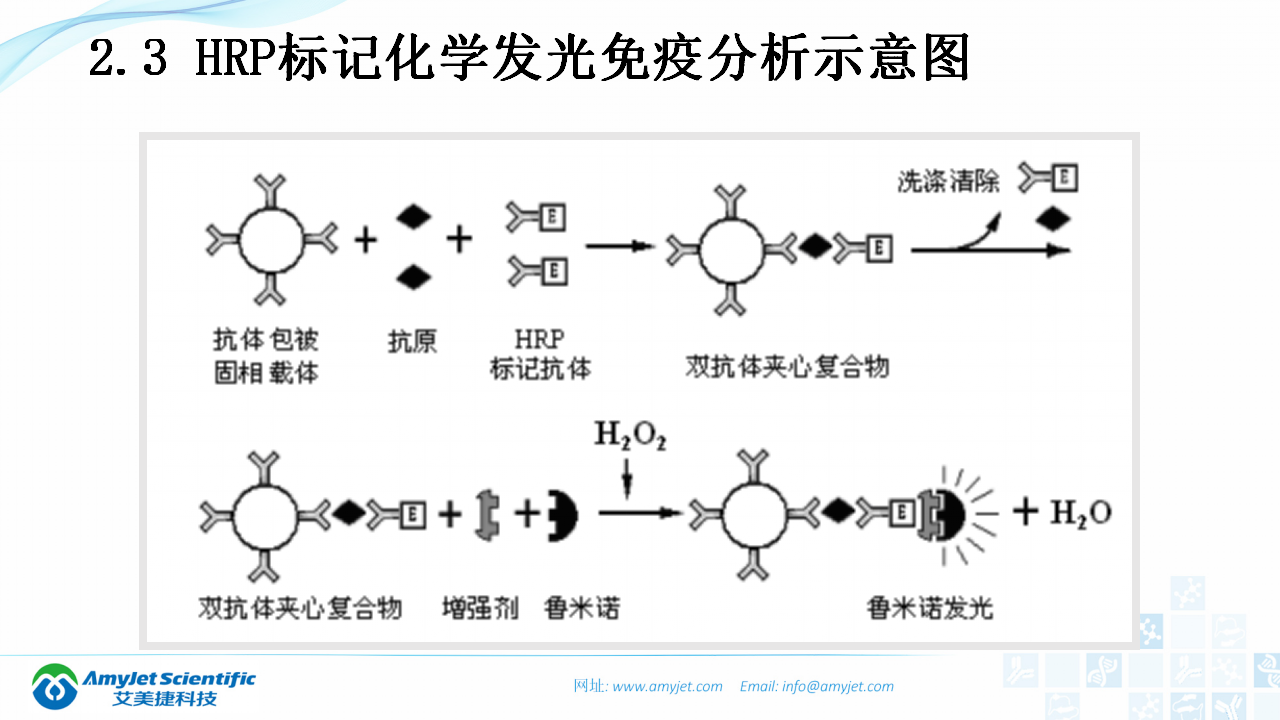 202003-體外診斷（IVD）試劑及市場淺析_20.png
