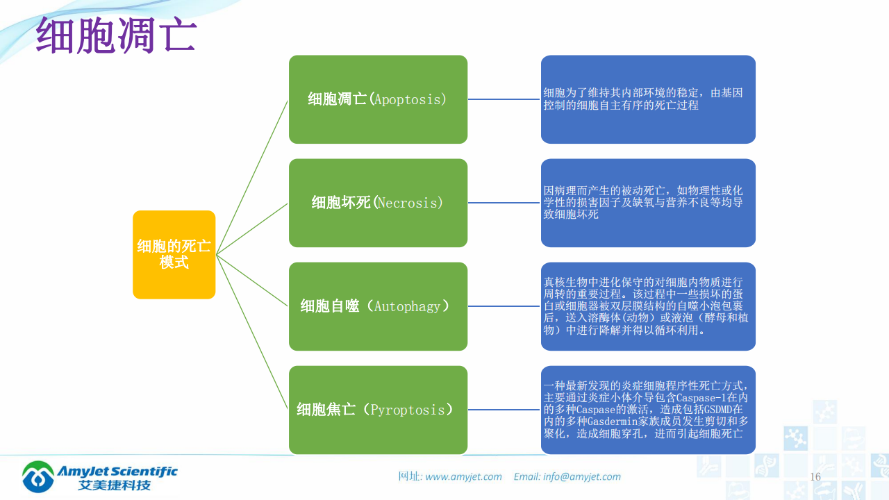 202003-細胞狀態的檢測_15.png