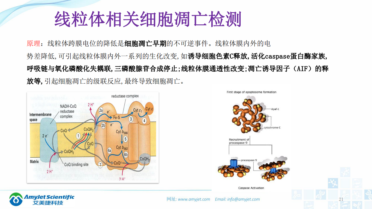 202003-細胞狀態的檢測_20.png