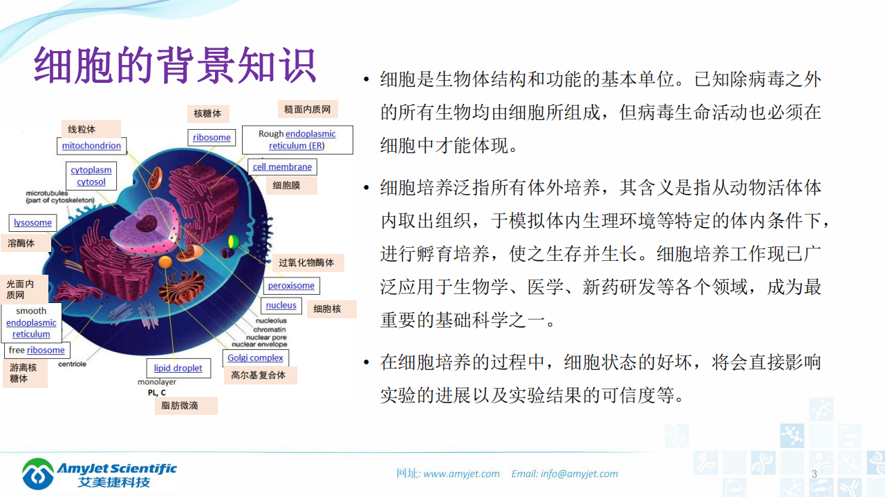 202003-細胞狀態的檢測_02.png