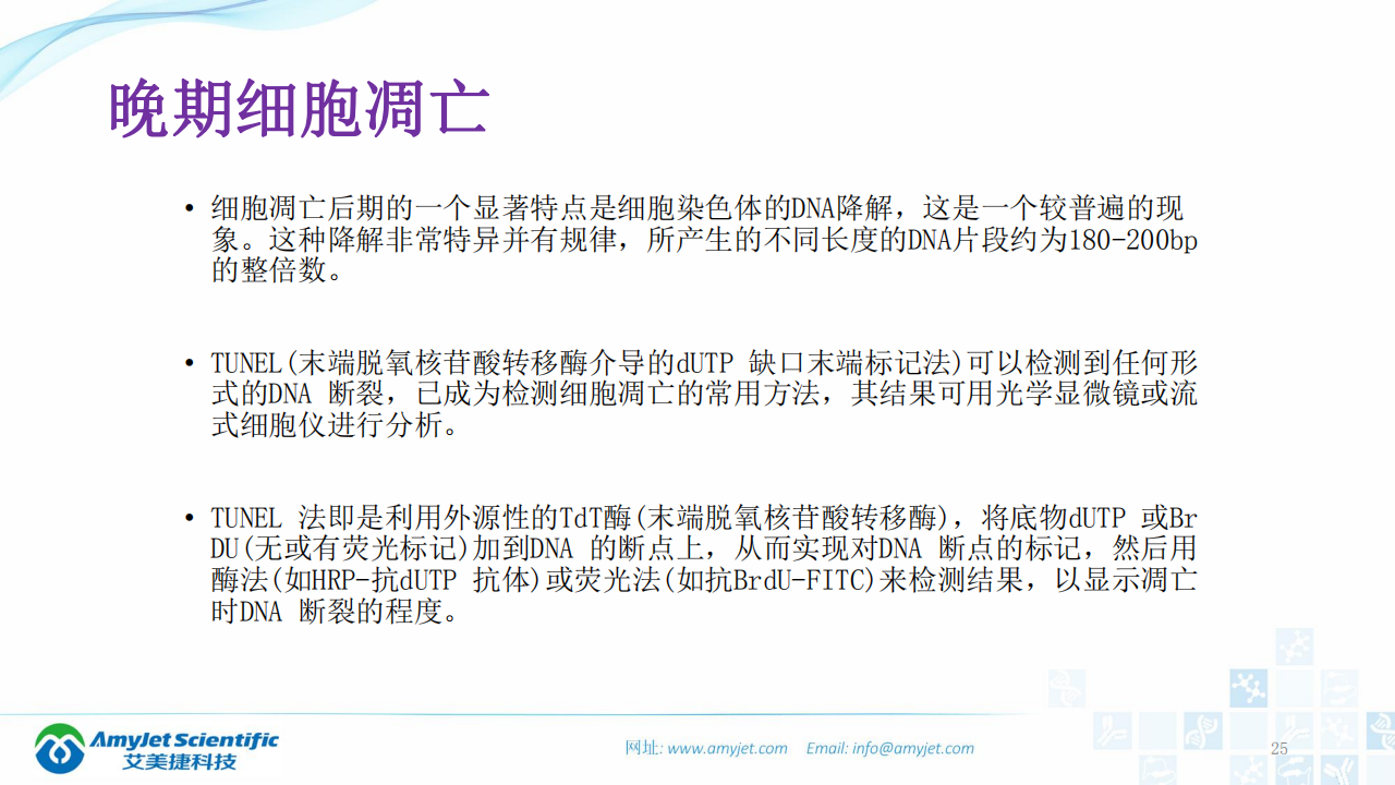 202003-細胞狀態的檢測_24.png