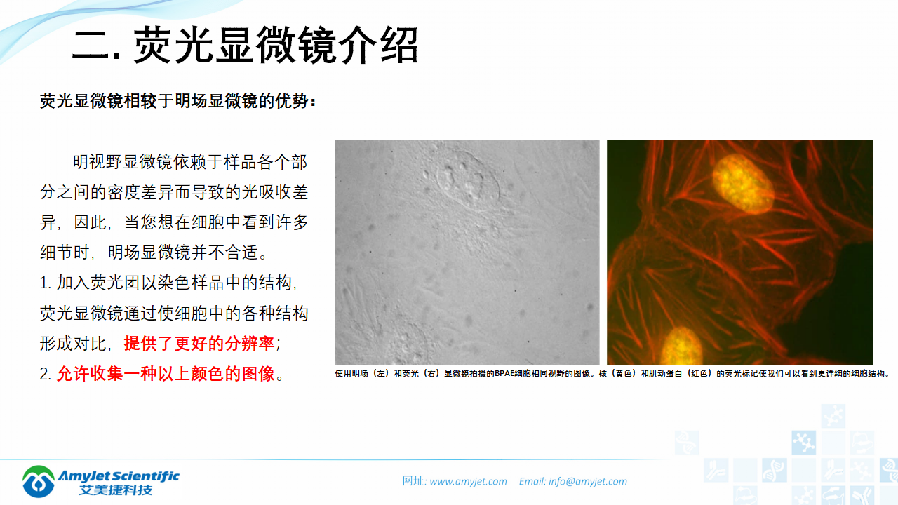 202004-熒光背景知識匯總及熒光染料的選擇_14.png