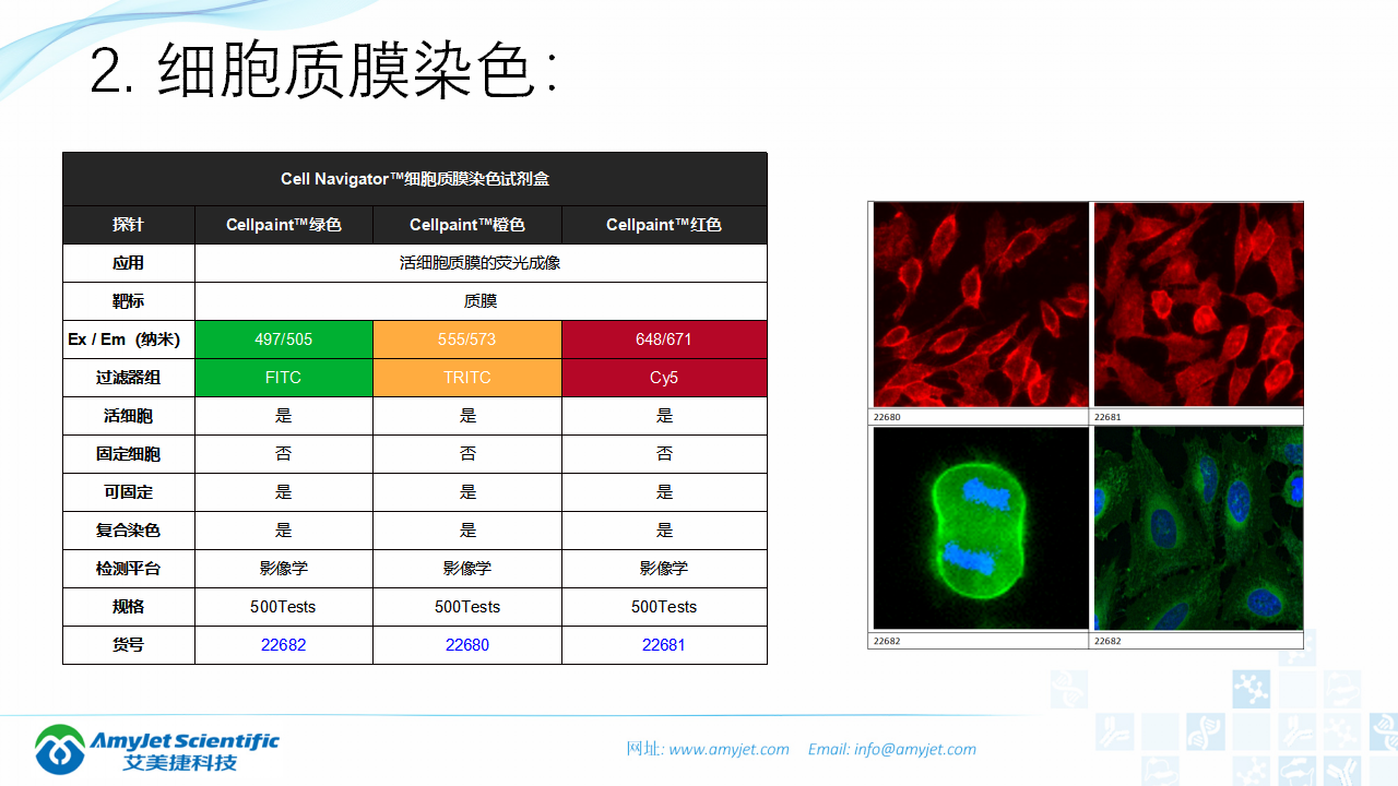202004-熒光背景知識匯總及熒光染料的選擇_33.png