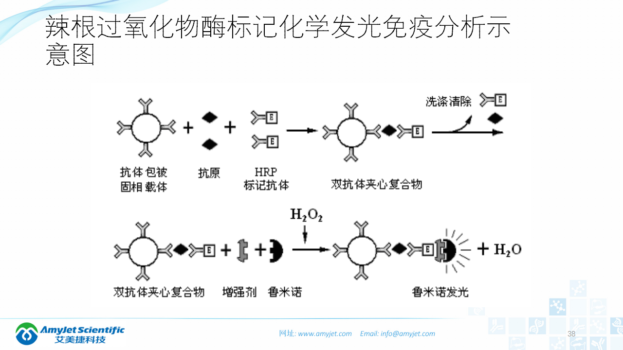 202003-體外診斷之化學發光免疫_38.png