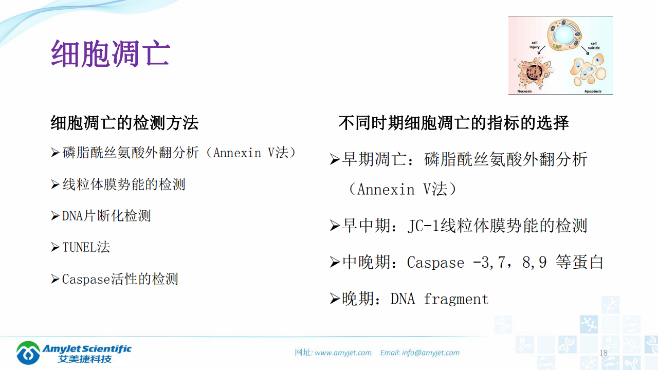 202003-細胞狀態的檢測_17.png