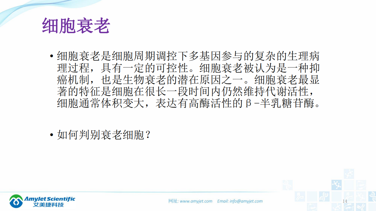 202003-細胞狀態的檢測_13.png