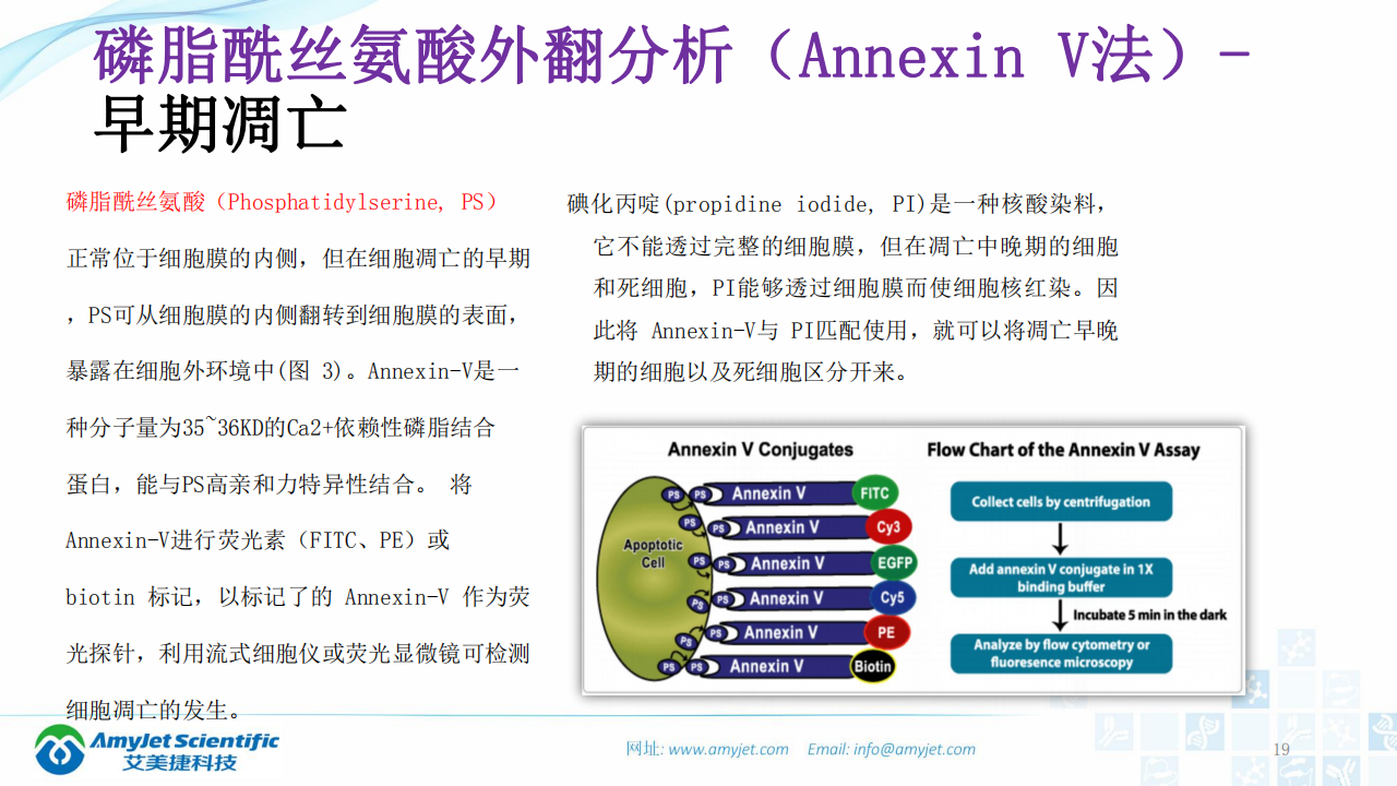 202003-細胞狀態的檢測_18.png