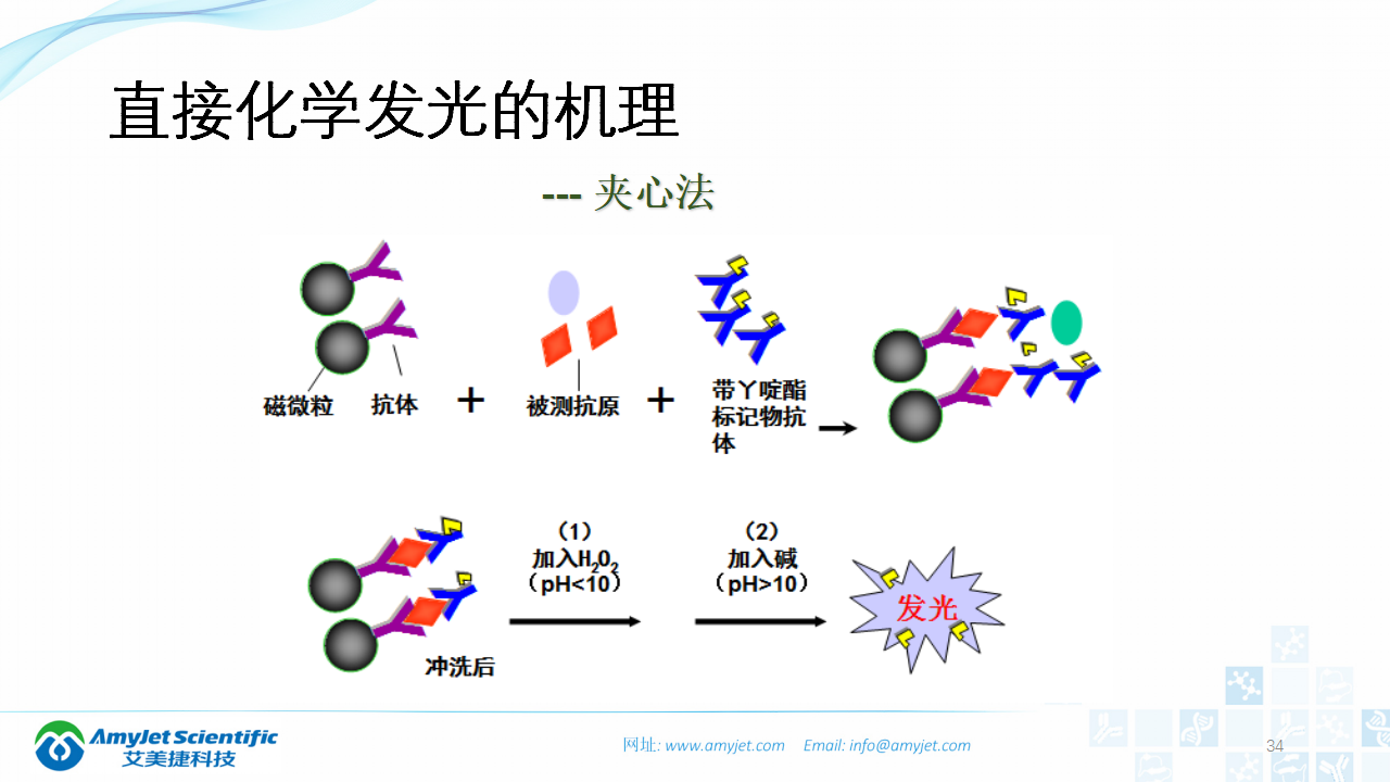 202003-體外診斷之化學發光免疫_34.png