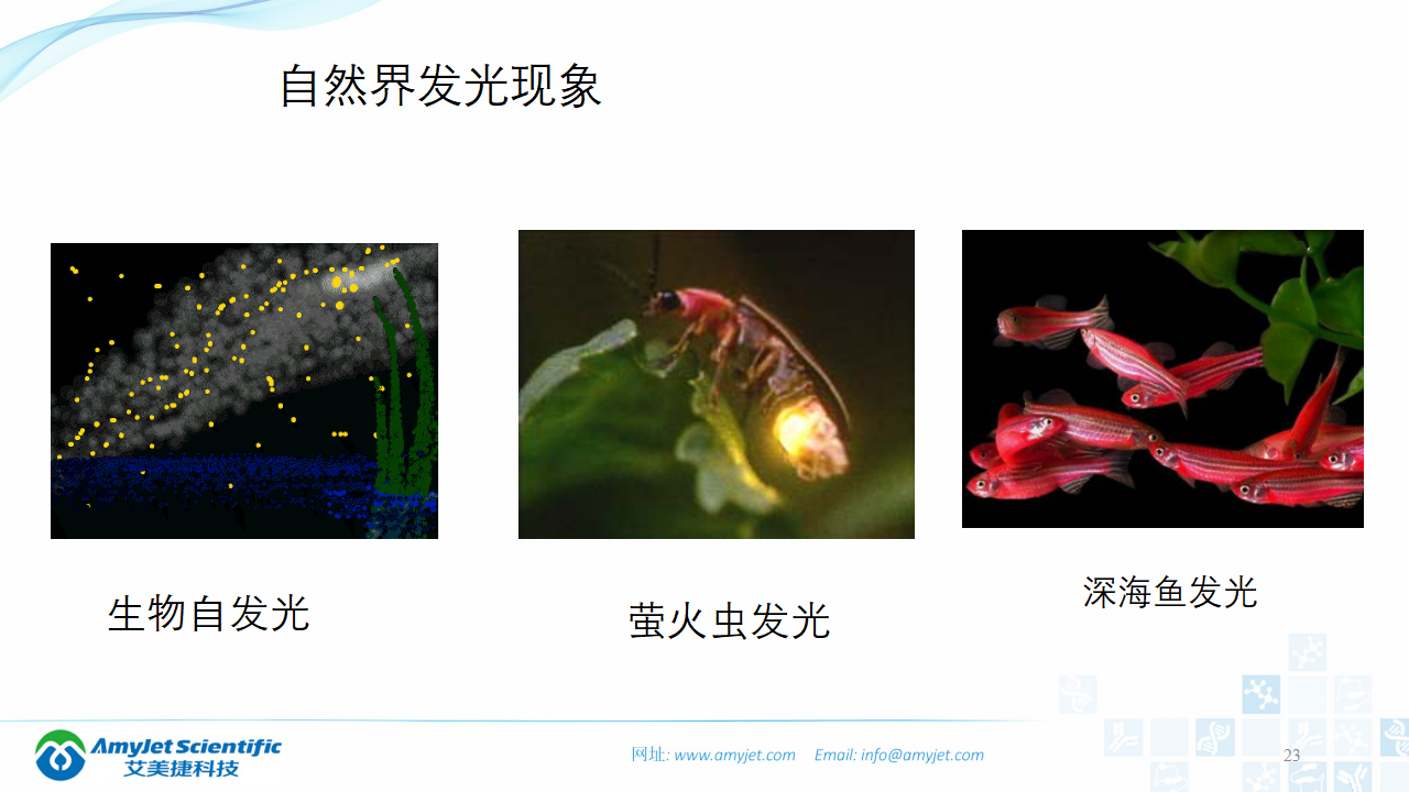 202003-體外診斷之化學發光免疫_23.png