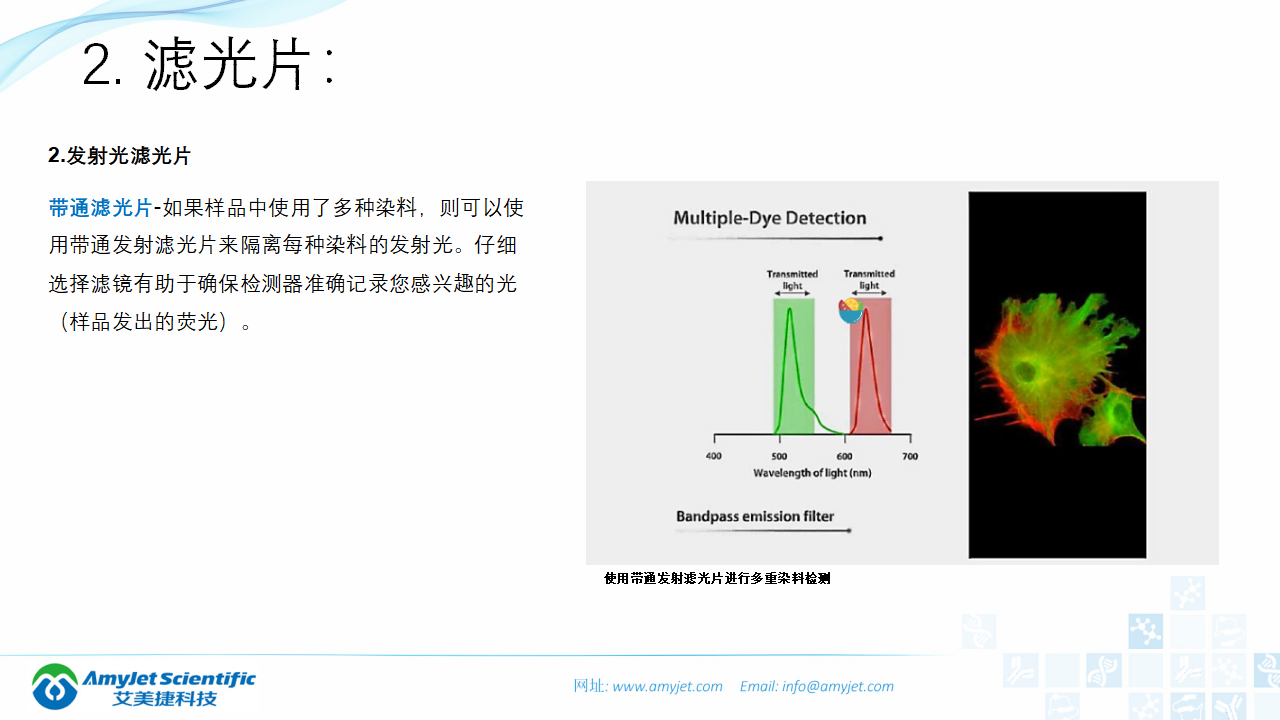 202004-熒光背景知識匯總及熒光染料的選擇_18.png