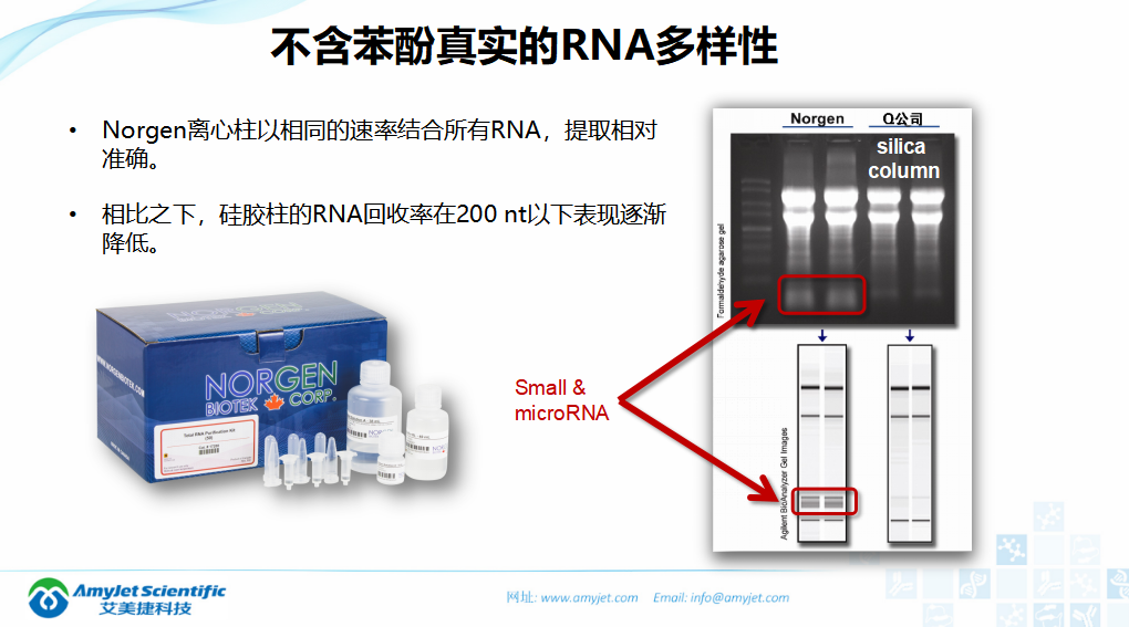 202005-核酸保存提取鑒定專家_18.png
