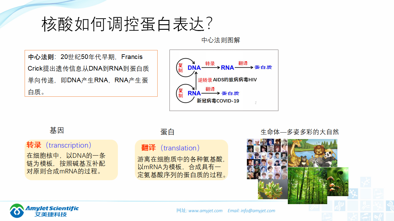 202006-PCR背景與解決方案_03.png