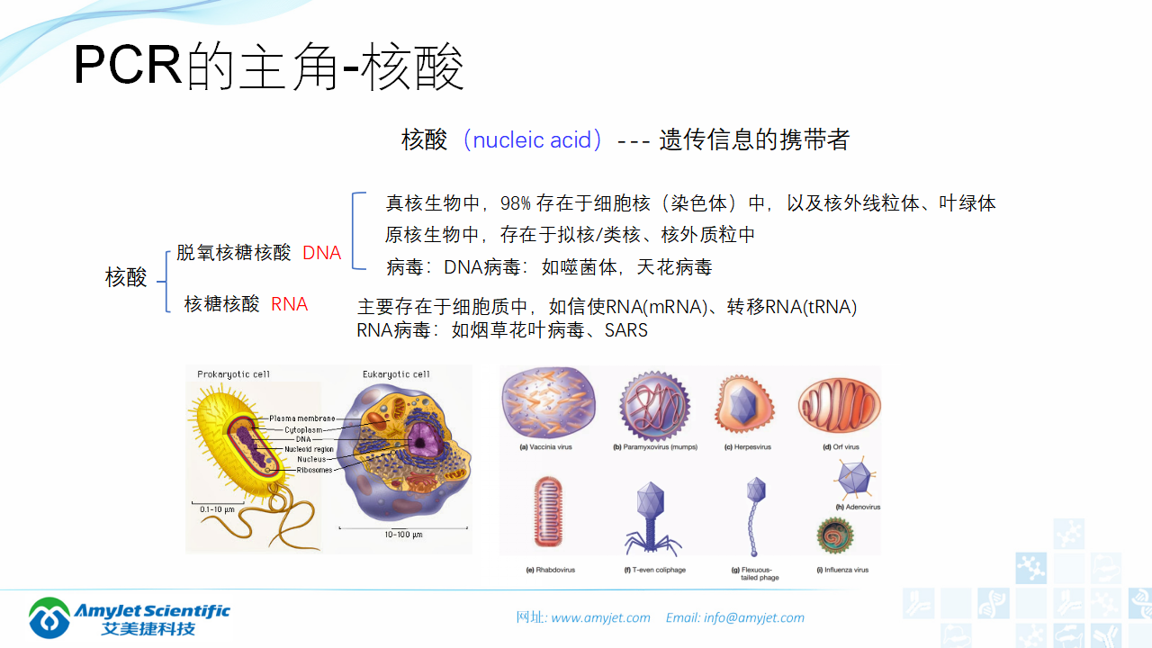202006-PCR背景與解決方案_02.png