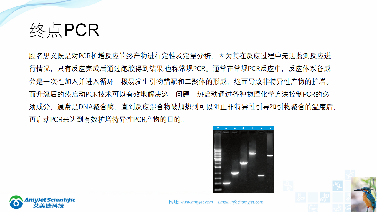 202006-PCR背景與解決方案_12.png