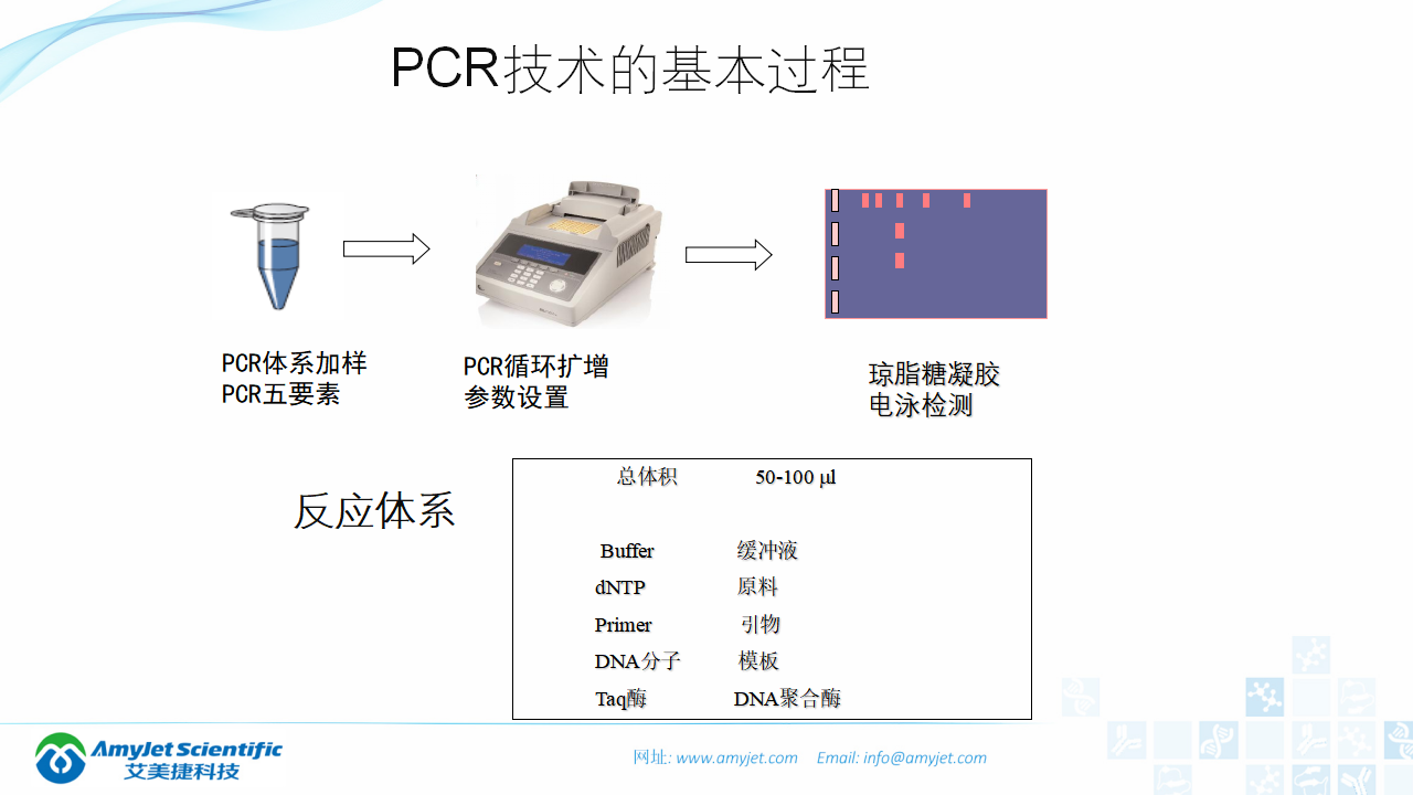 202006-PCR背景與解決方案_08.png
