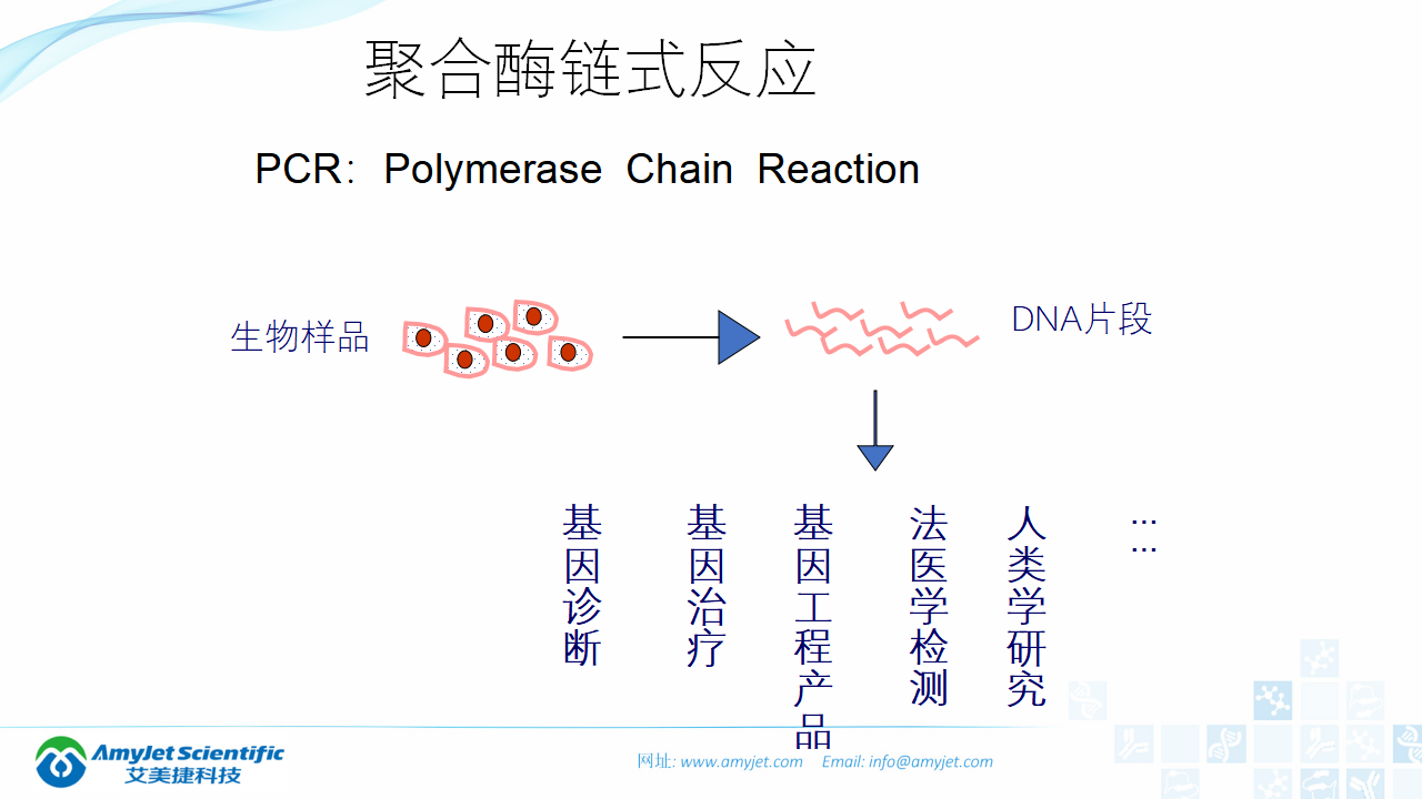 202006-PCR背景與解決方案_05.png