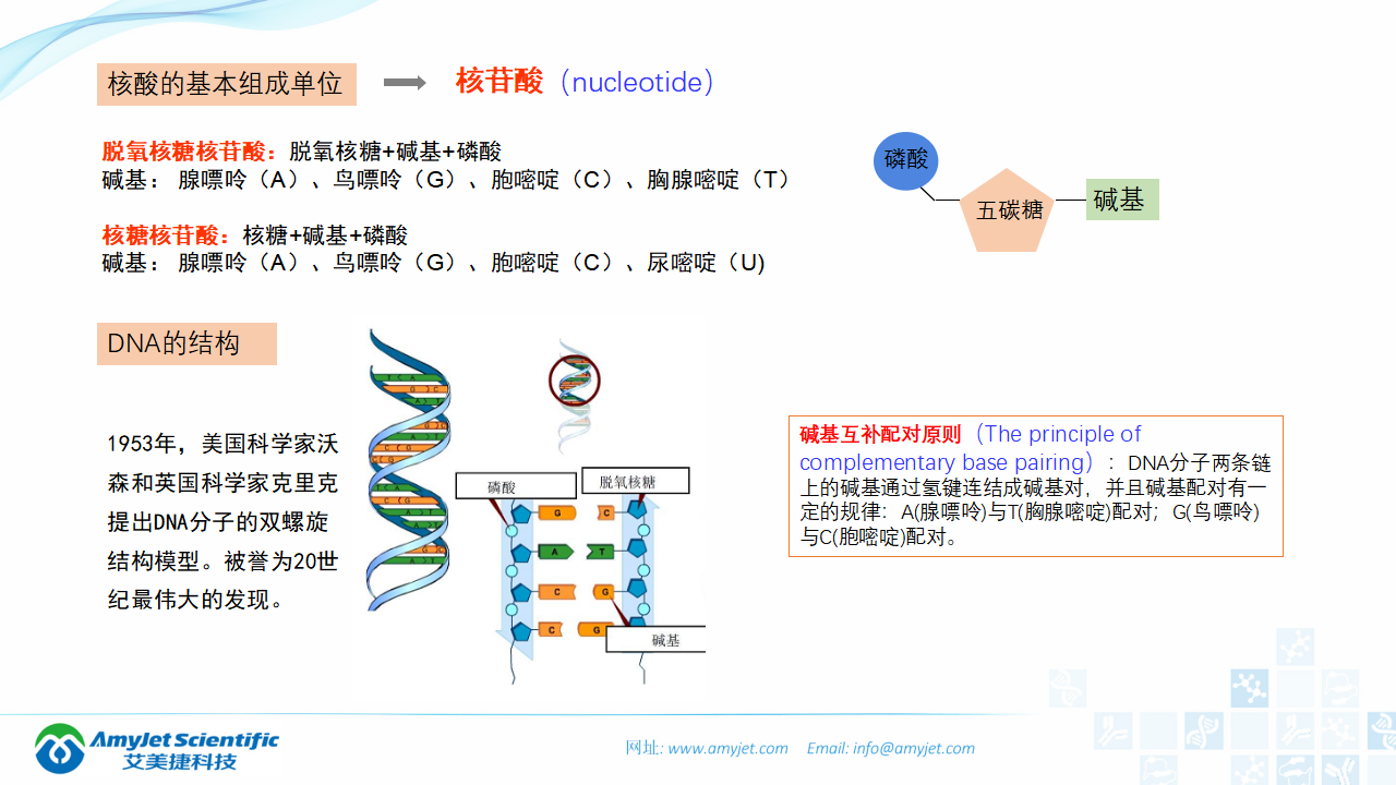 202006-PCR背景與解決方案_04.png