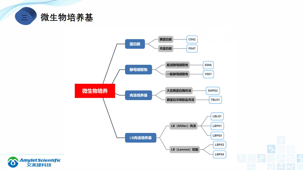 202006-細胞培養專題介紹_47.png