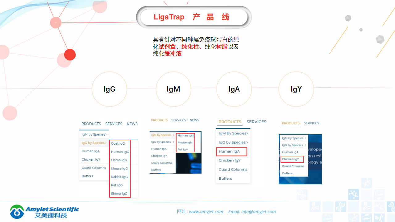 202006-IgM IgG抗體純化專家-LigaTrap品牌_05.png