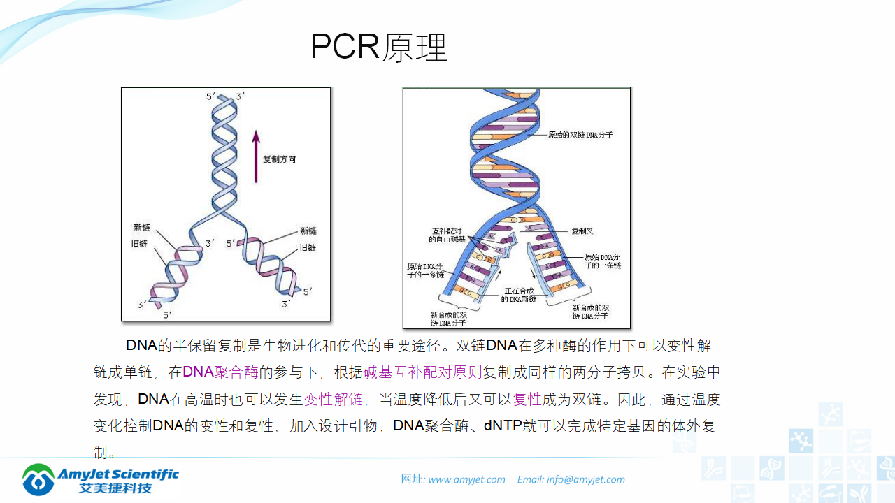 202006-PCR背景與解決方案_06.png