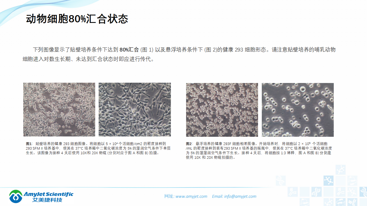 202006-細胞培養專題介紹_29.png
