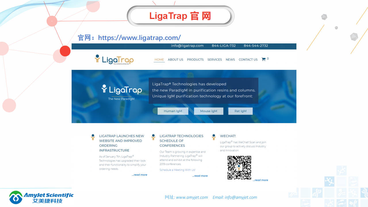 202006-IgM IgG抗體純化專家-LigaTrap品牌_04.png