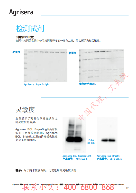植物WB指南-中文版-艾美捷_16.png
