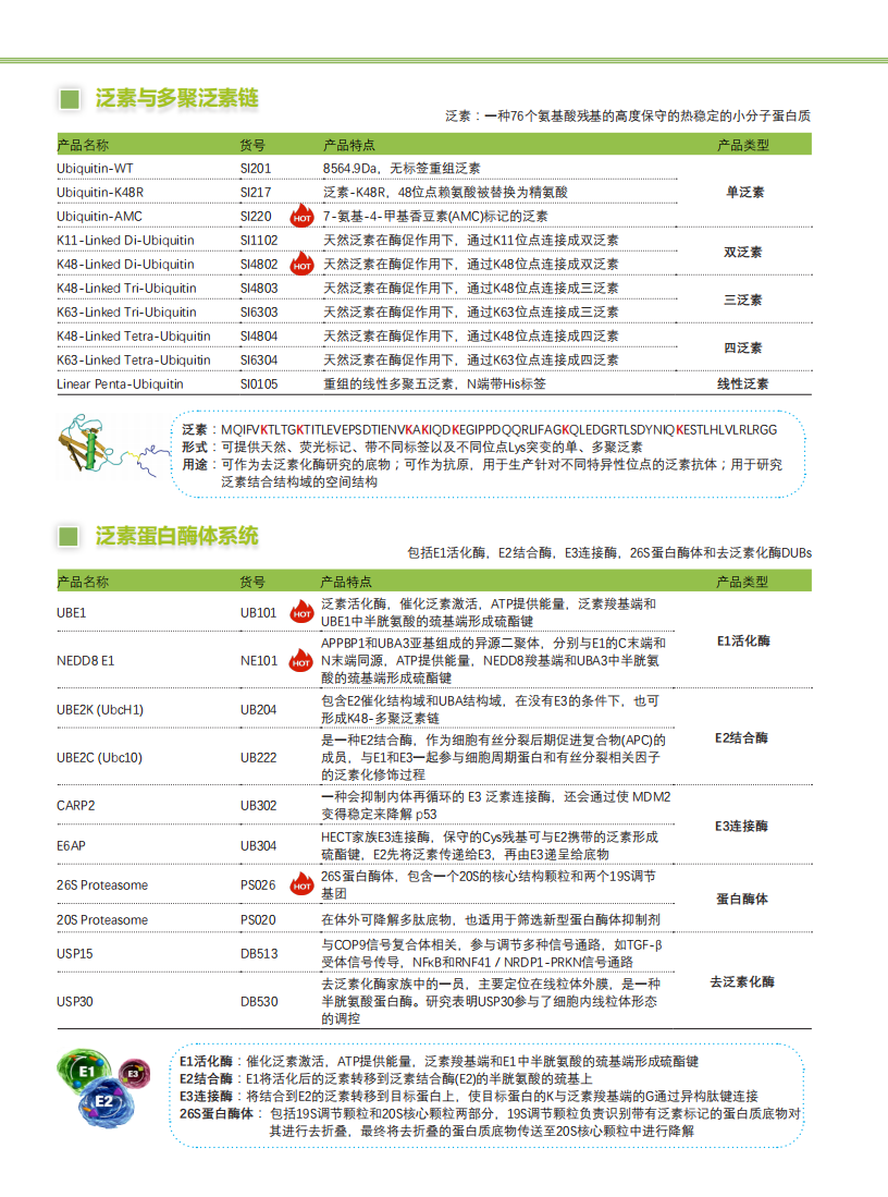 全套泛素研究解決方案-Lifesensors-折頁_01.png