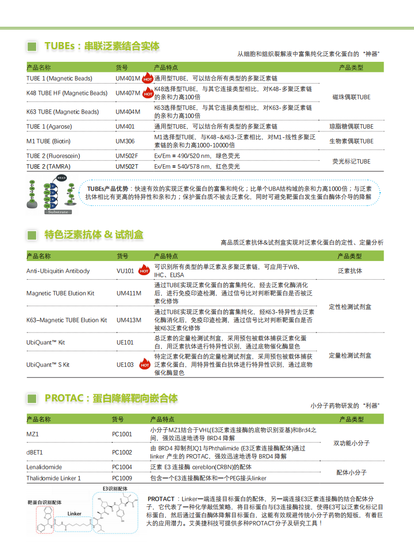 全套泛素研究解決方案-Lifesensors-折頁_02.png
