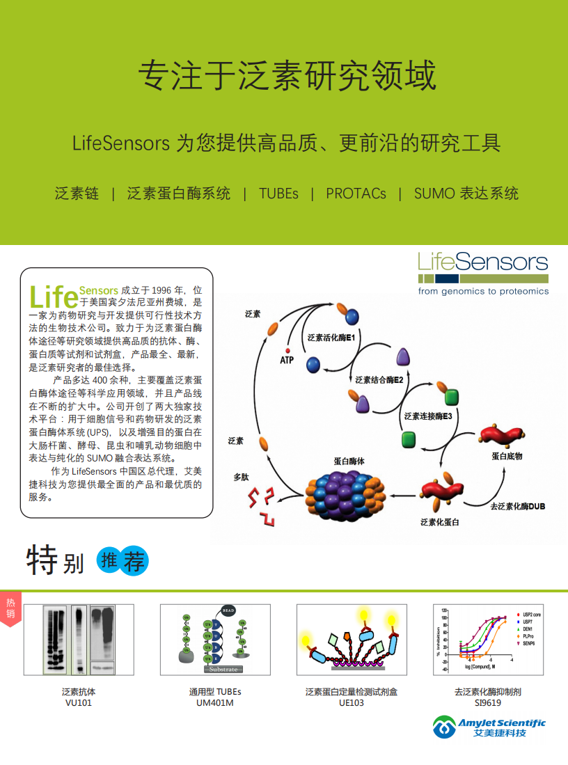 全套泛素研究解決方案-Lifesensors-折頁_00.png