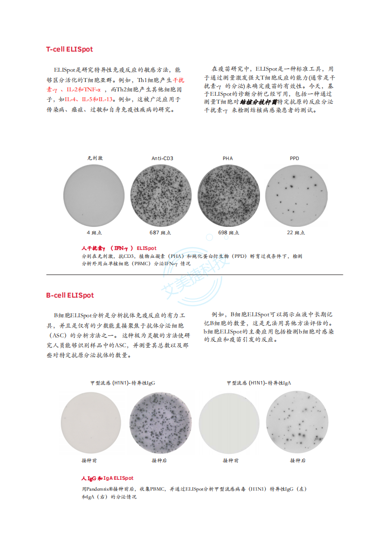 Mabtech-ELISpot-中文版折頁_02.png