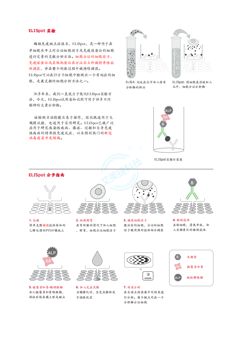 Mabtech-ELISpot-中文版折頁_01.png