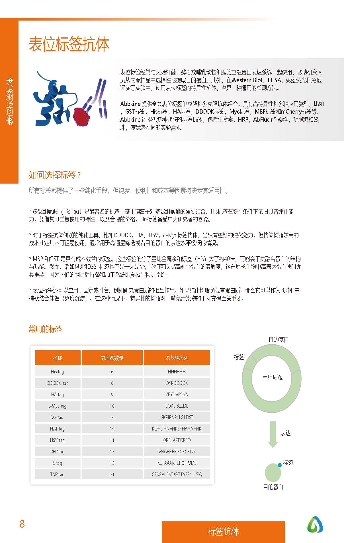 內參抗體與標簽抗體產品線-產品手冊