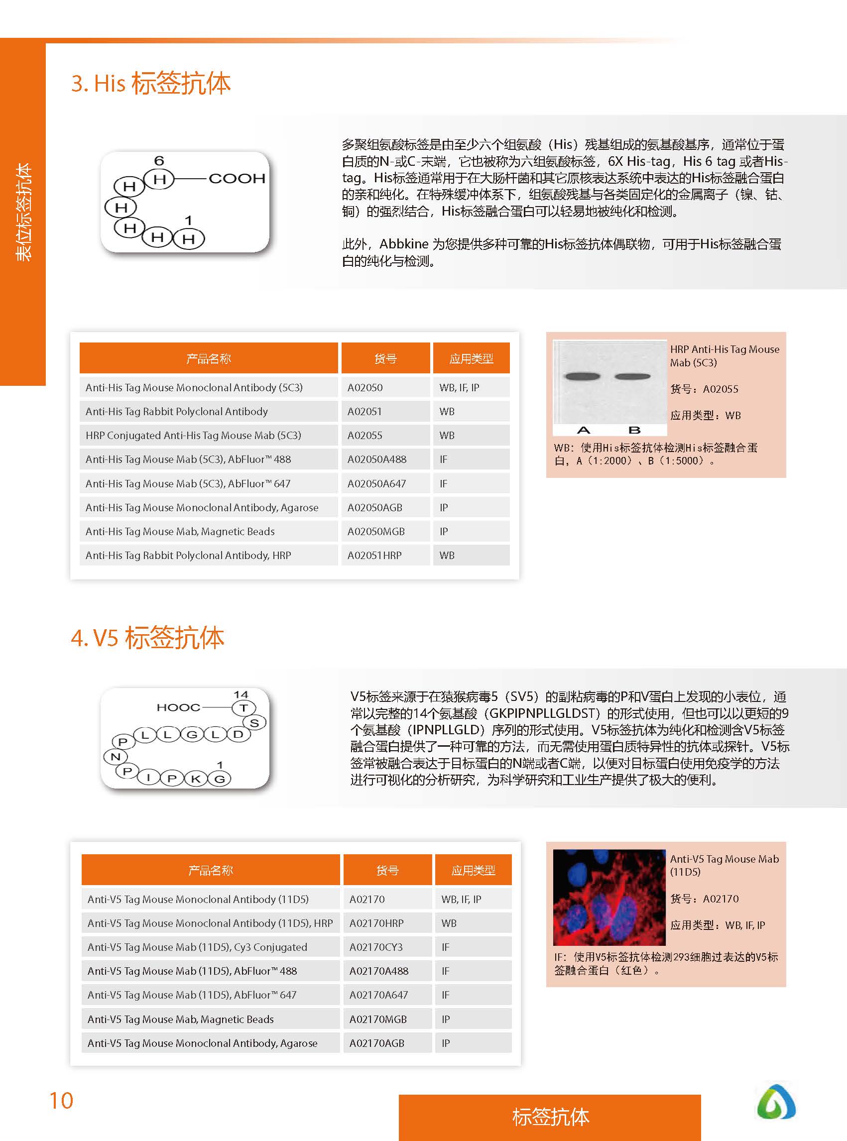 內參抗體與標簽抗體產品線-產品手冊