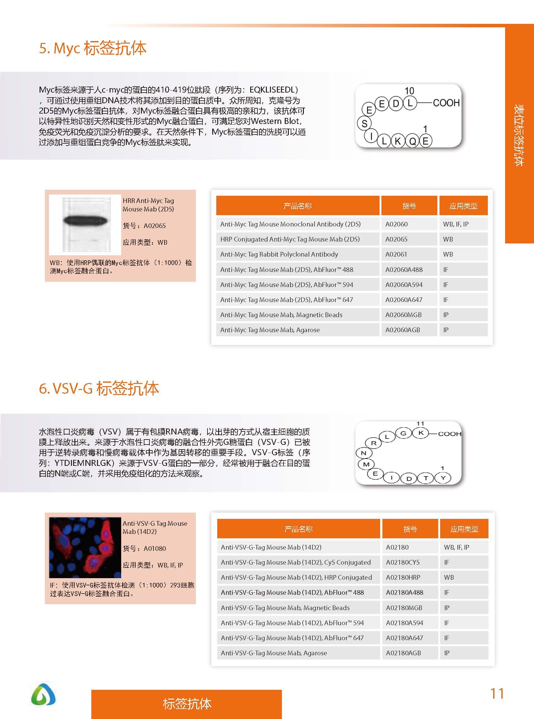 內參抗體與標簽抗體產品線-產品手冊