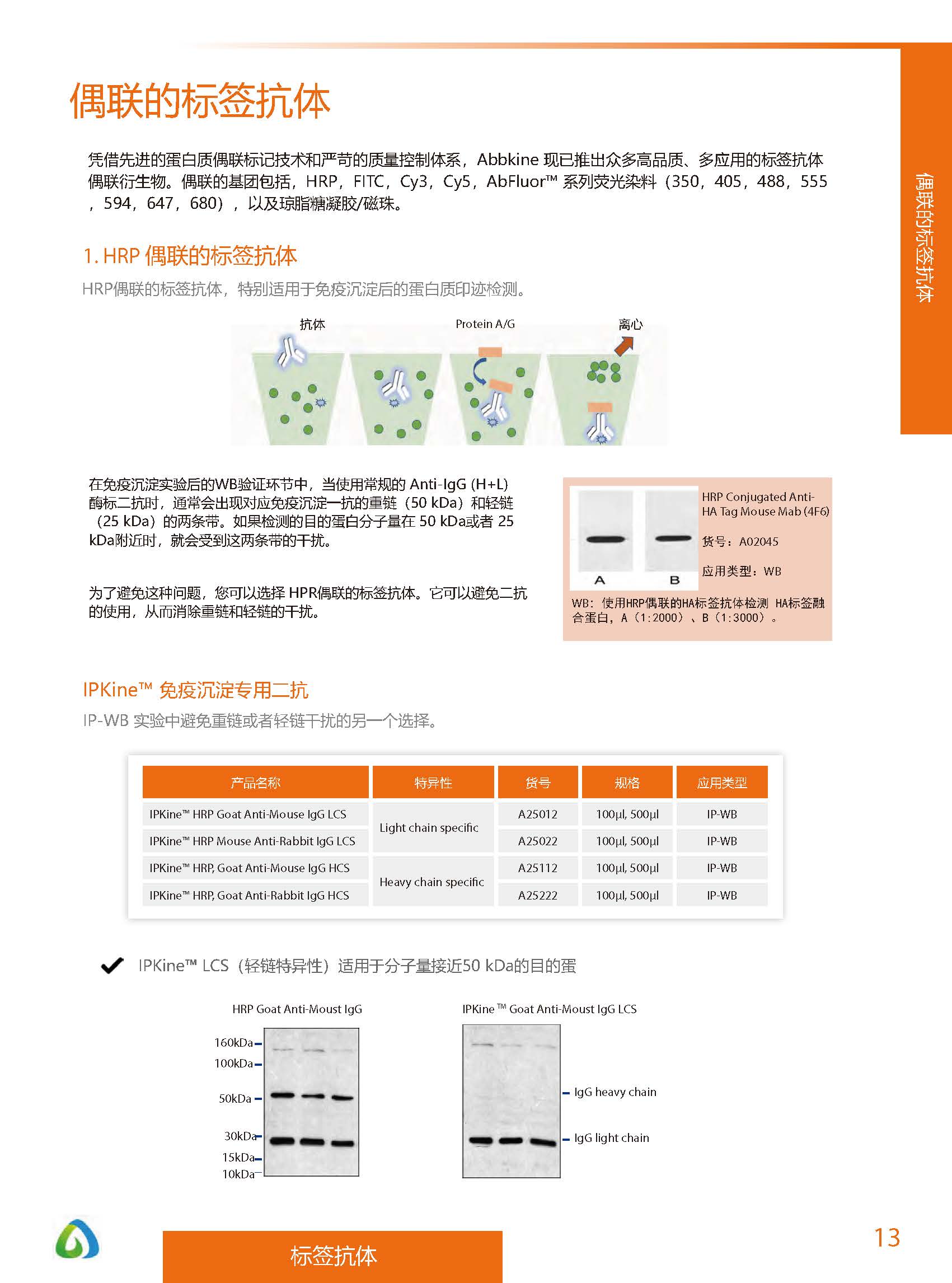 內參抗體與標簽抗體產品線-產品手冊