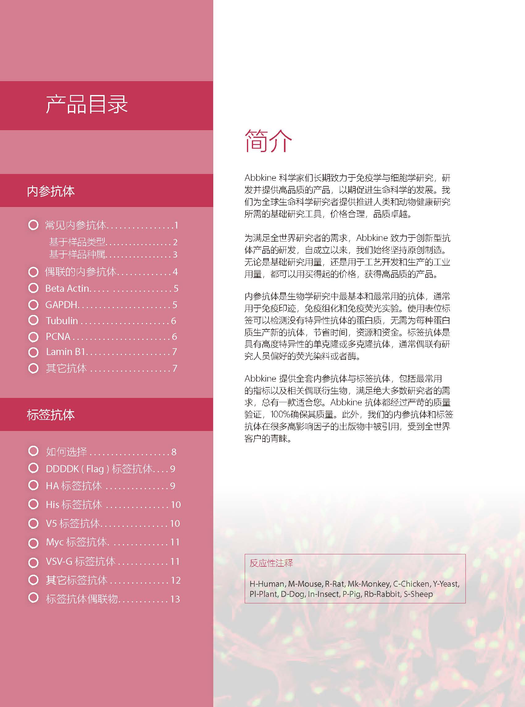 內參抗體與標簽抗體產品線-產品手冊