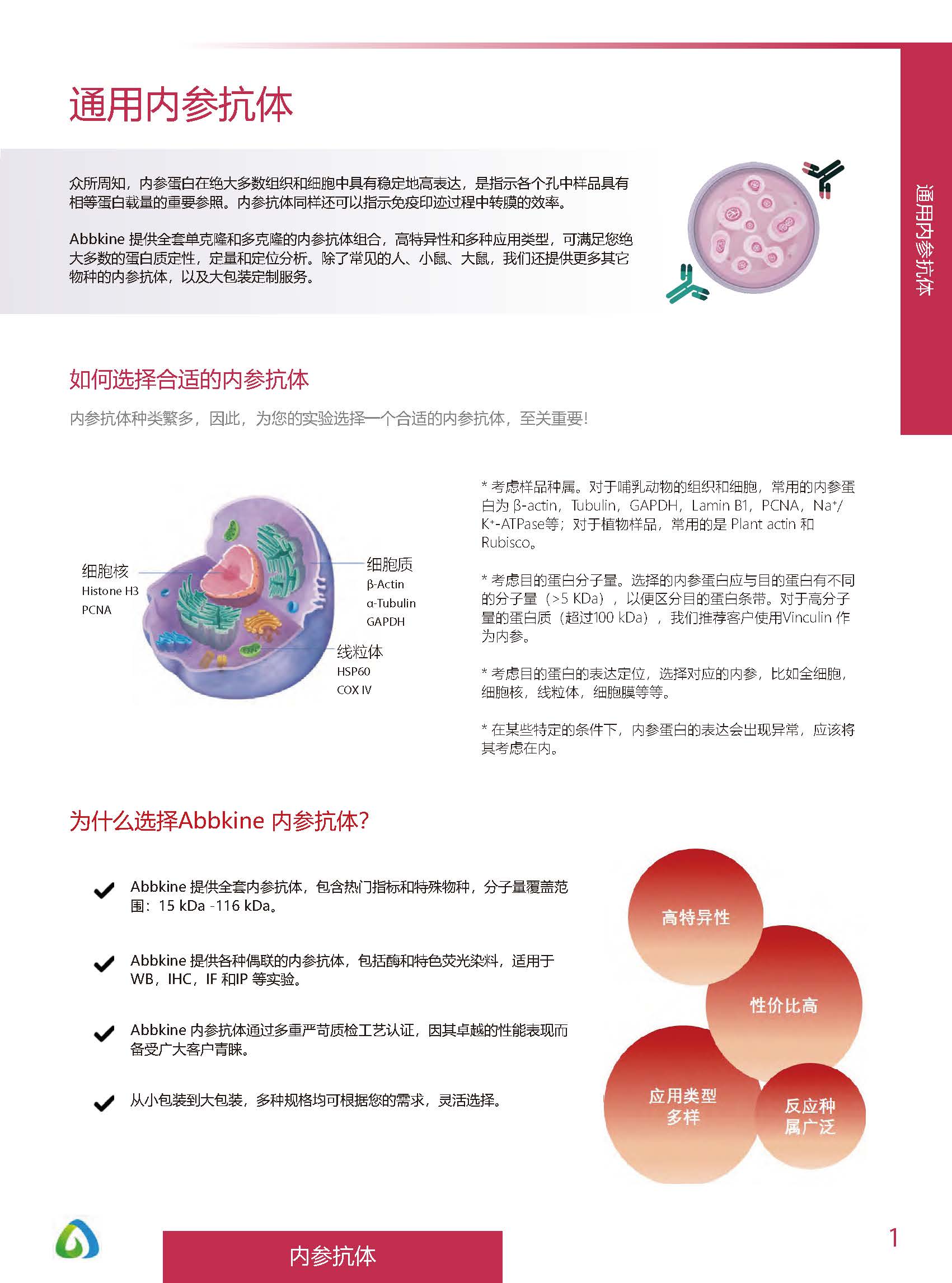 內參抗體與標簽抗體產品線-產品手冊