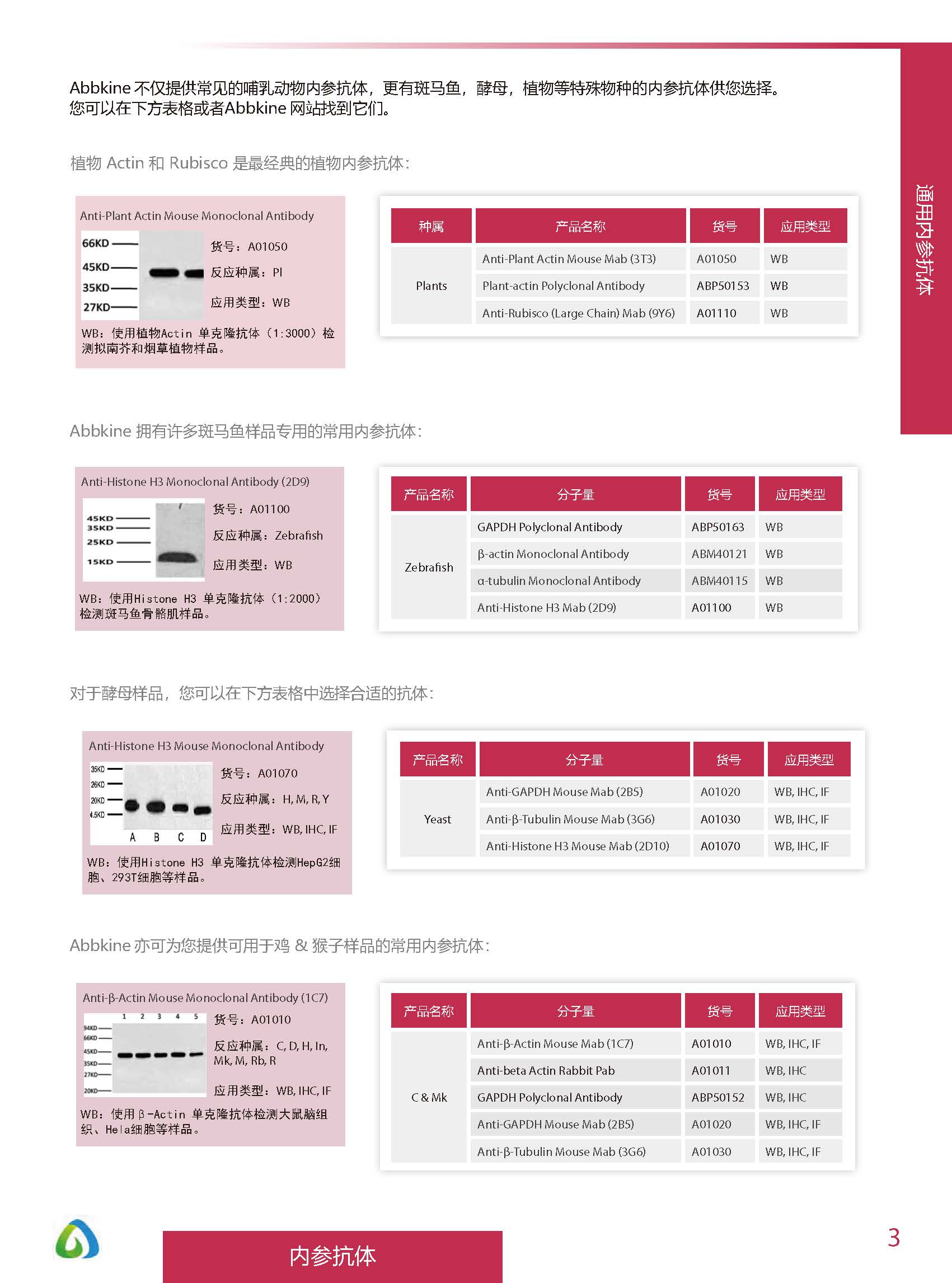 內參抗體與標簽抗體產品線-產品手冊