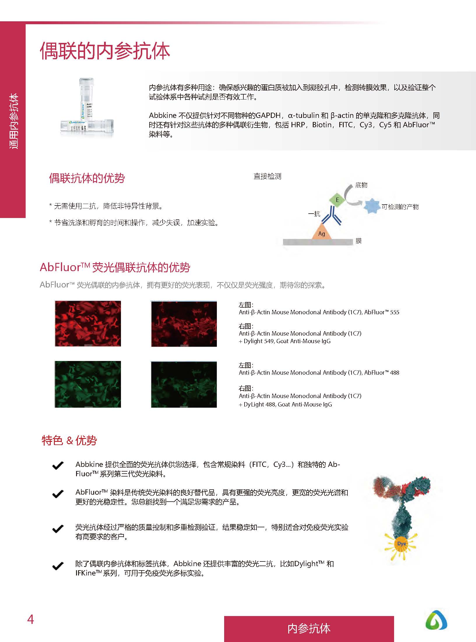 內參抗體與標簽抗體產品線-產品手冊
