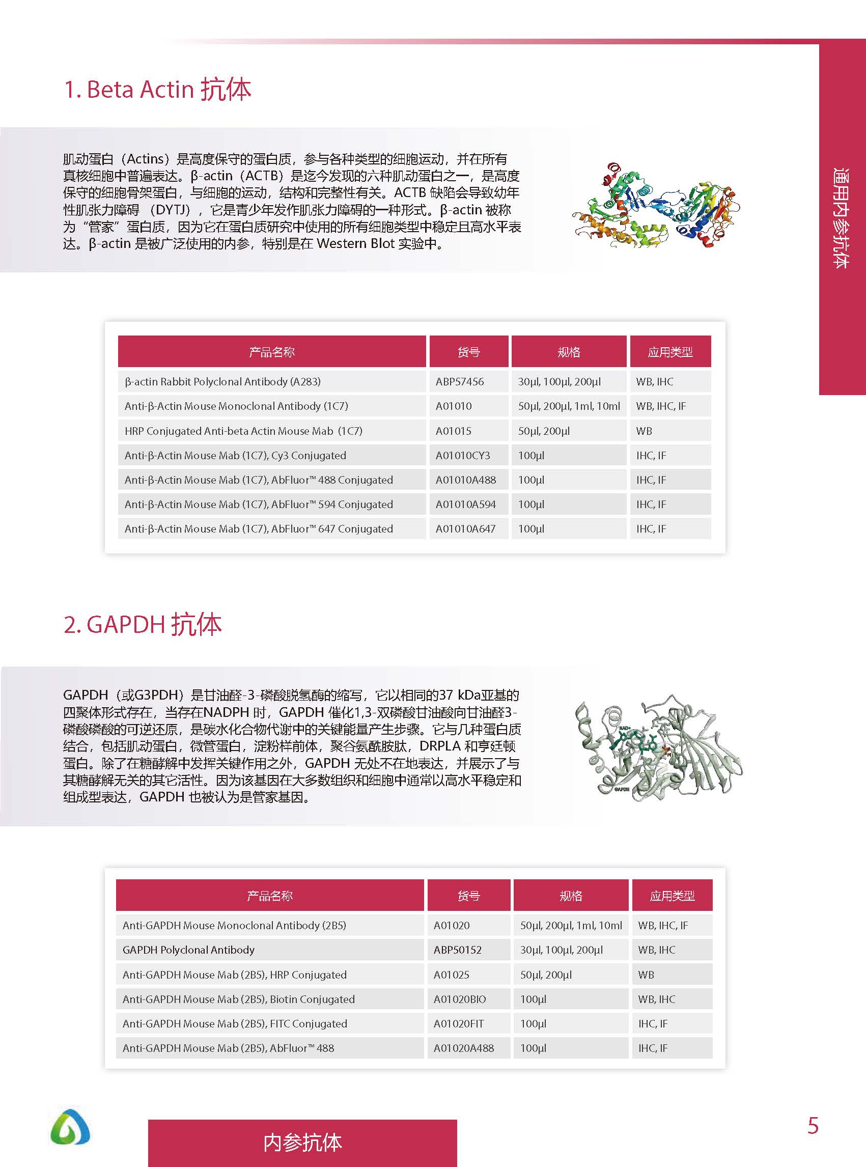 內參抗體與標簽抗體產品線-產品手冊