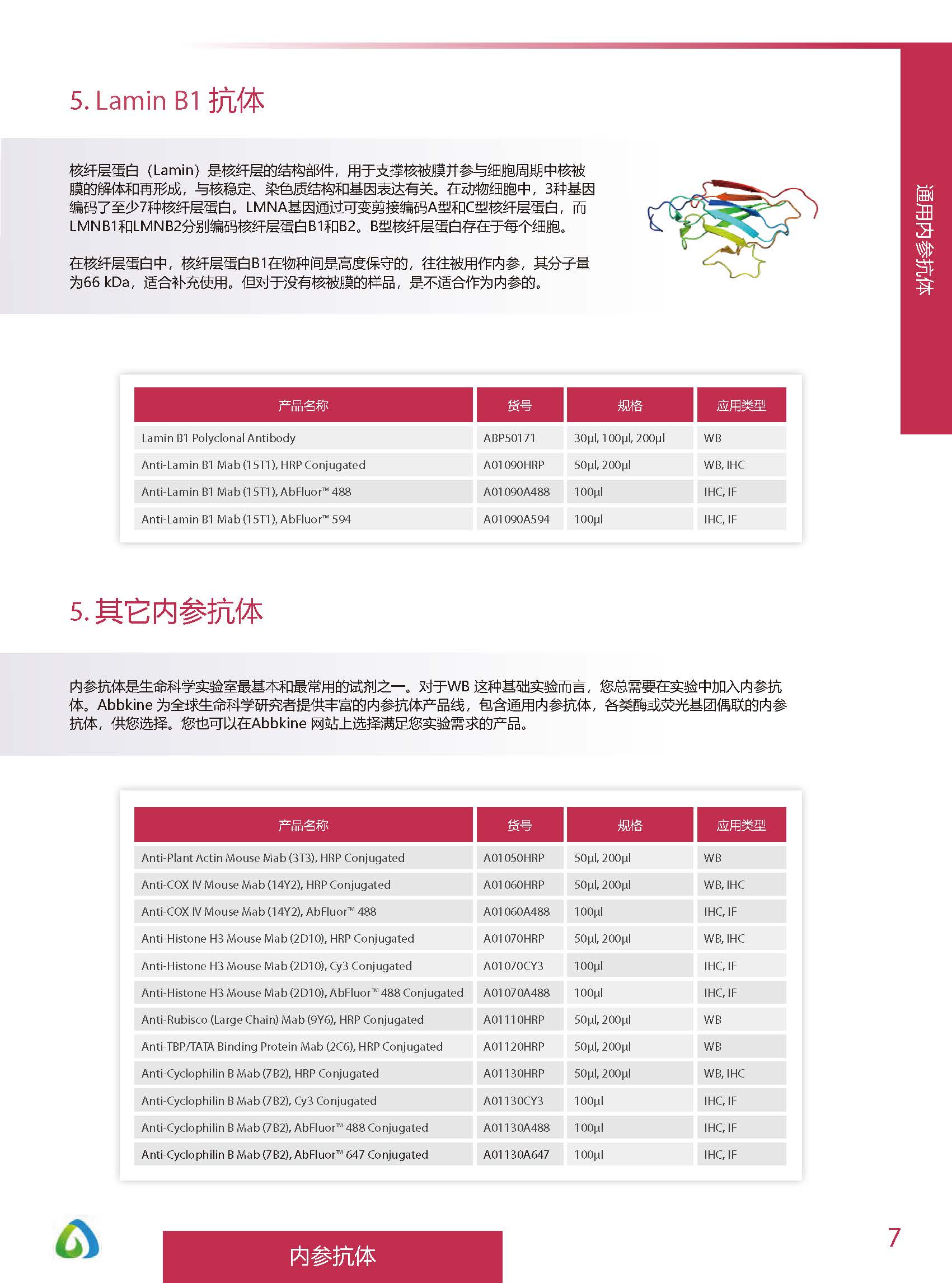 內參抗體與標簽抗體產品線-產品手冊