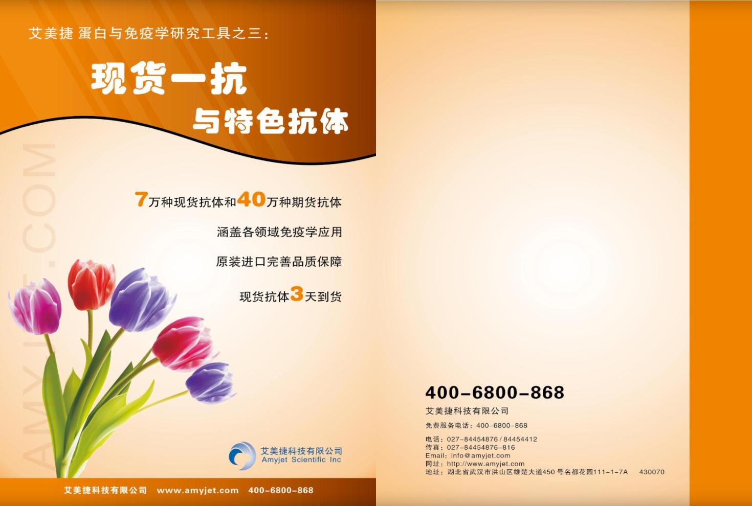 現貨一抗與特色抗體手冊