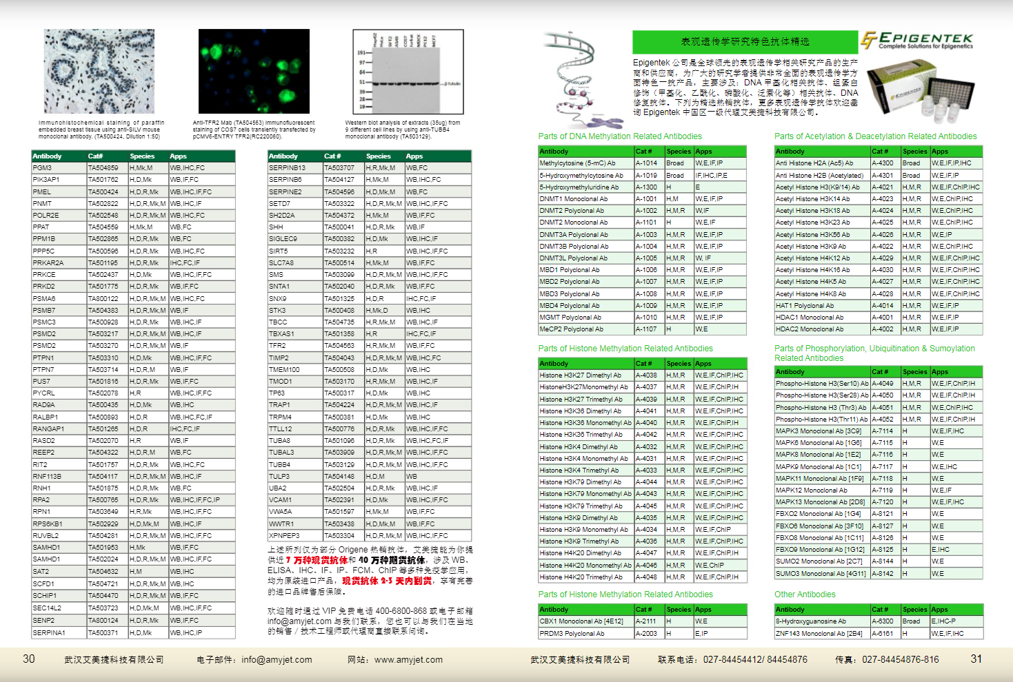 現貨一抗與特色抗體手冊