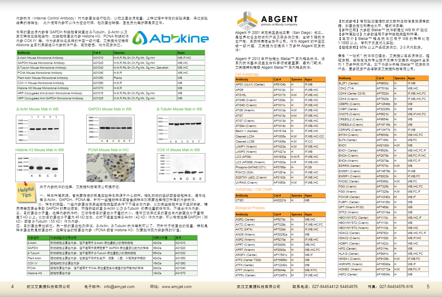 現貨一抗與特色抗體手冊