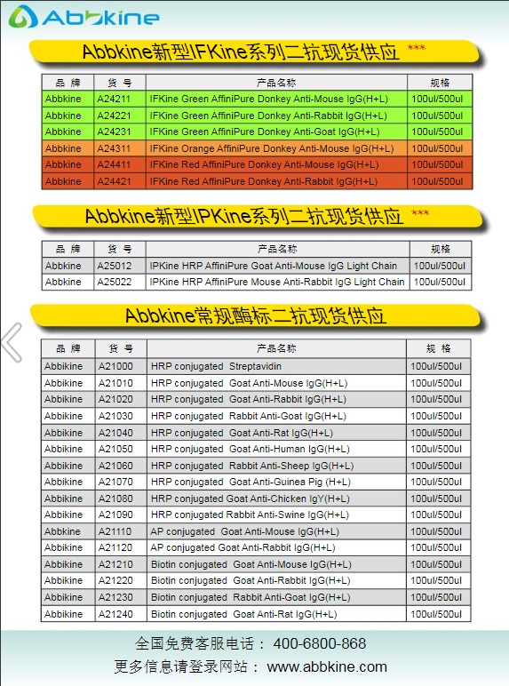 Abbkine常規二抗及標簽和內參抗體2013產品應用手冊